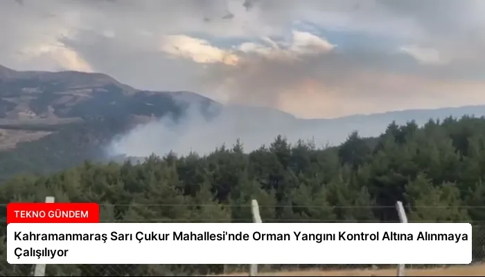 Kahramanmaraş Sarı Çukur Mahallesi’nde Orman Yangını Kontrol Altına Alınmaya Çalışılıyor