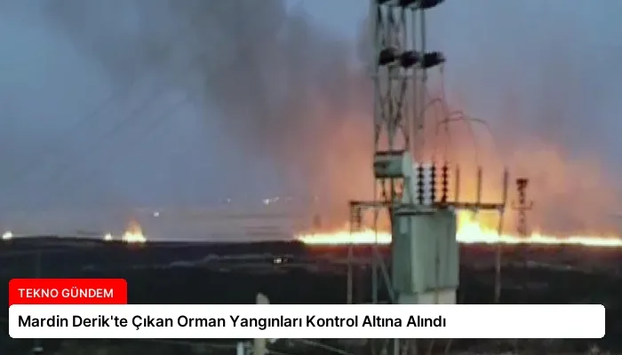 Mardin Derik’te Çıkan Orman Yangınları Kontrol Altına Alındı