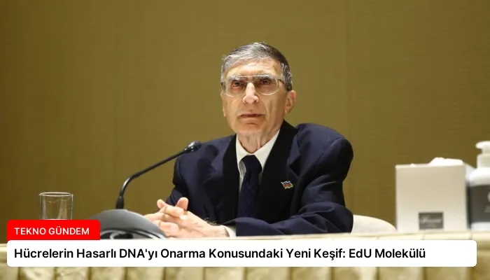 Hücrelerin Hasarlı DNA’yı Onarma Konusundaki Yeni Keşif: EdU Molekülü