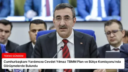 Cumhurbaşkanı Yardımcısı Cevdet Yılmaz TBMM Plan ve Bütçe Komisyonu’nda Görüşmelerde Bulundu