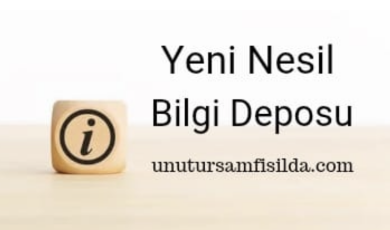 Unutursamfisilda.com: Bilgiyi Eğlenceye Dönüştüren Yenilikçi Bir Platform!