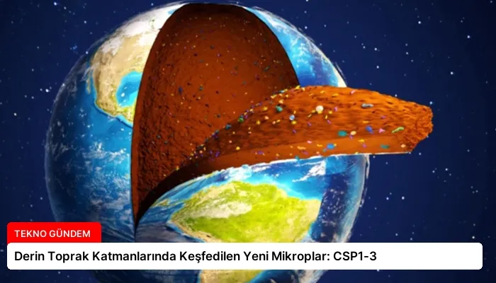 Derin Toprak Katmanlarında Keşfedilen Yeni Mikroplar: CSP1-3