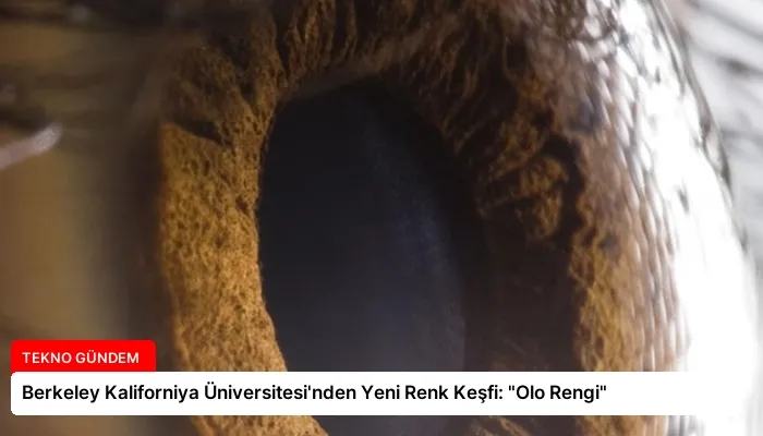 Berkeley Kaliforniya Üniversitesi’nden Yeni Renk Keşfi: “Olo Rengi”