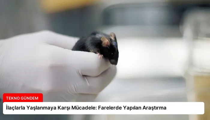 İlaçlarla Yaşlanmaya Karşı Mücadele: Farelerde Yapılan Araştırma