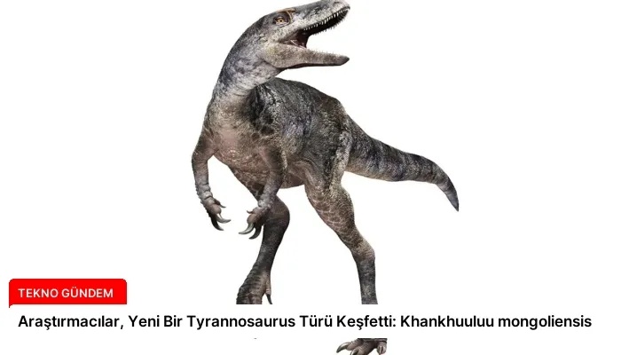 Araştırmacılar, Yeni Bir Tyrannosaurus Türü Keşfetti: Khankhuuluu mongoliensis