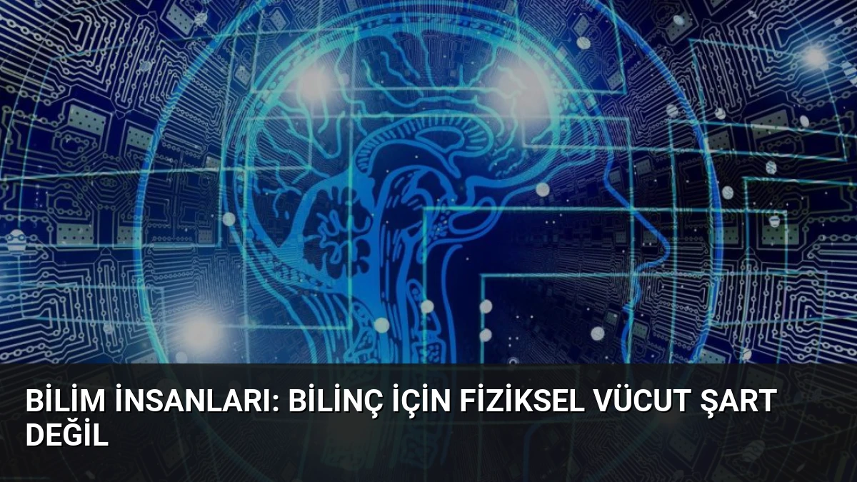 Bilim İnsanları: Bilinç İçin Fiziksel Vücut Şart Değil