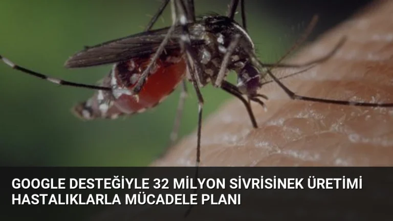 Google Desteğiyle 32 Milyon Sivrisinek Üretimi Hastalıklarla Mücadele Planı