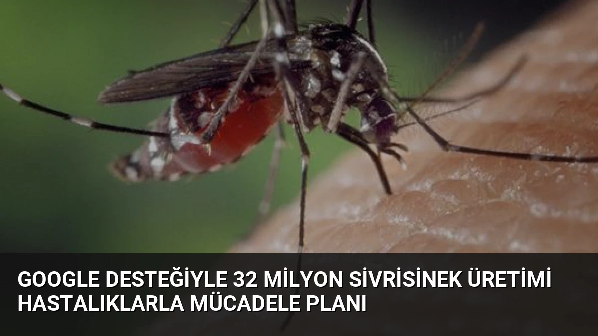 Google Desteğiyle 32 Milyon Sivrisinek Üretimi Hastalıklarla Mücadele Planı